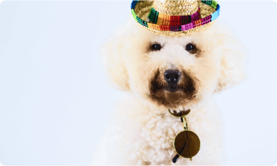 Shopping Cart Mobile Shopping Cart Mobile